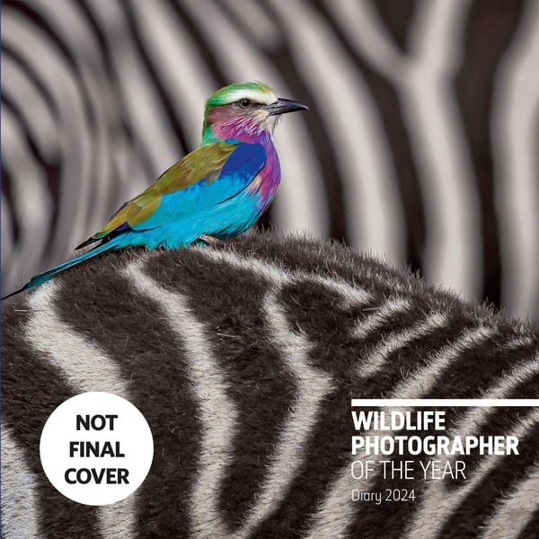 Produktbild: Wildlife Photographer of the Year Desk Diary 2024