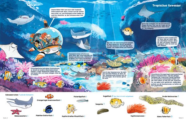 Produktbild: Wimmelwissen Aquazoo