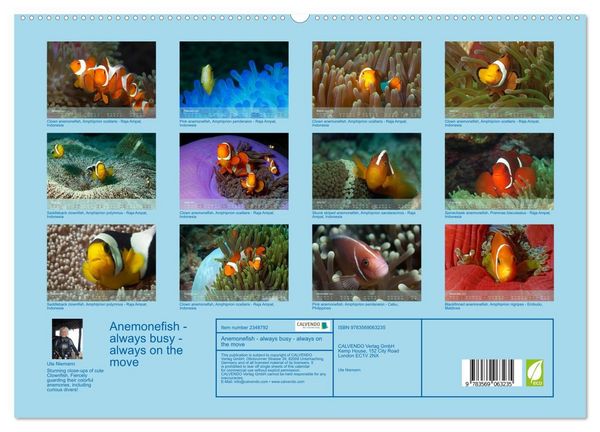Produktbild: Anemonefish - always busy - always on the move (High Quality Premium Wall Calendar 2027 DIN A2 landscape),CALVENDO 12 Month Wall Calendar