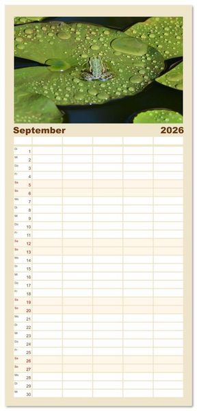 Produktbild: Familienplaner 2026 - Frosch Karl, Hans und Max im Einklang der Natur mit 5 Spalten (Wandkalender, 21 x 45 cm) CALVENDO