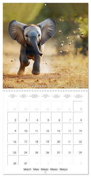 Produktbild: Baby Elephant Adventures (Wall Calendar 2026 12 &times; 12 Inch) CALVENDO 12 Month Wall Calendar