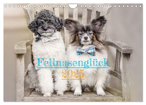 Fellnasenglück (Wandkalender 2025 DIN A4 quer), CALVENDO Monatskalender