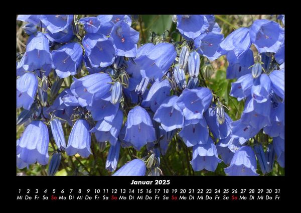 Produktbild: Blumenkalender 2025 Fotokalender DIN A3