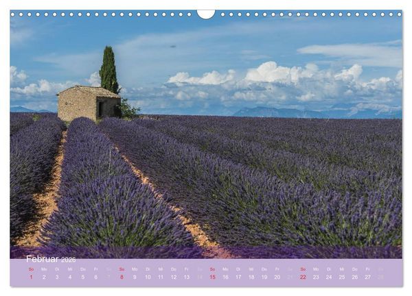 Produktbild: Die Farbe des Lavendels (Wandkalender 2026 DIN A3 quer), CALVENDO Monatskalender