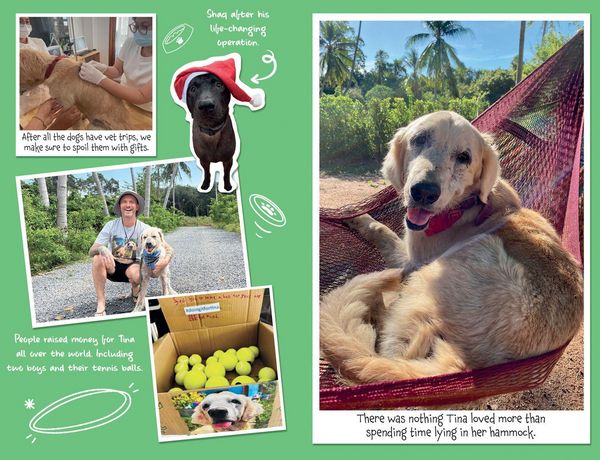 Produktbild: TINA DOG WHO CHANGED WORLD PB