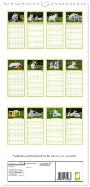 Produktbild: Familienplaner 2026 - Wei&szlig;er Schweizer Sch&auml;ferhund - Ein Tag im Leben einer Hundefamilie mit 5 Spalten (Wandkalender, 21 x 45 cm) CALVENDO