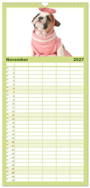 Produktbild: Familienplaner 2027 - English Bulldog XXL Models mit 5 Spalten (Wandkalender, 21 x 45 cm) CALVENDO
