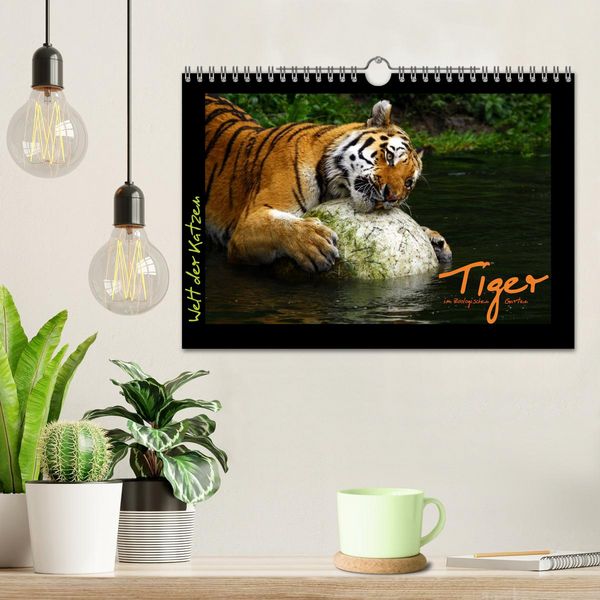 Produktbild: Welt der Katzen - Tiger (Wandkalender 2026 DIN A4 quer), CALVENDO Monatskalender