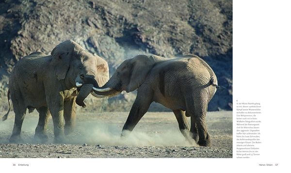 Im Bann der wilden Tiere