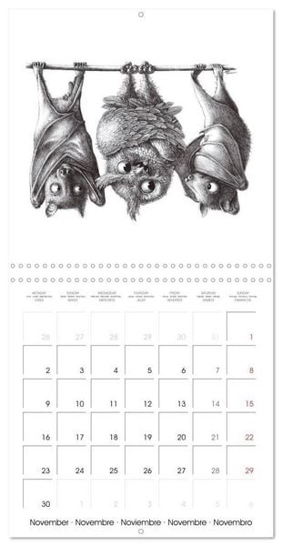 Produktbild: owls and mates 2026 (Wall Calendar 2026 12 &times; 12 Inch) CALVENDO 12 Month Wall Calendar