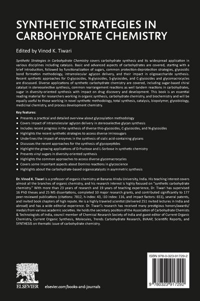 Produktbild: Synthetic Strategies in Carbohydrate Chemistry