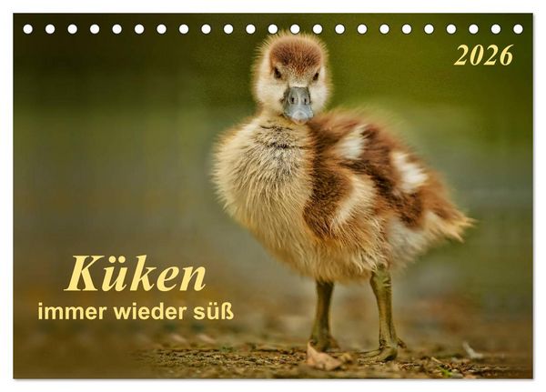 Produktbild: K&uuml;ken - immer wieder s&uuml;&szlig; (Tischkalender 2026 DIN A5 quer), CALVENDO Monatskalender