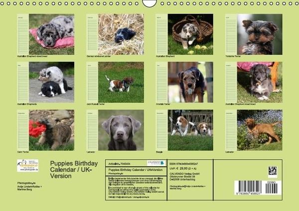 Produktbild: Puppies Birthday Calendar / UK-Version (Wall Calendar perpetual DIN A3 Landscape)