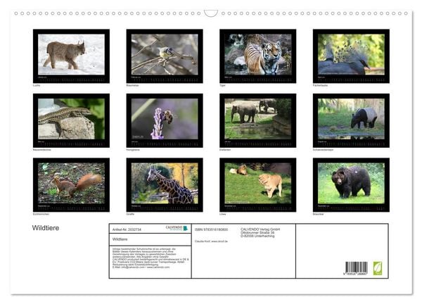 Produktbild: Wildtiere (Wandkalender 2026 DIN A2 quer), CALVENDO Monatskalender
