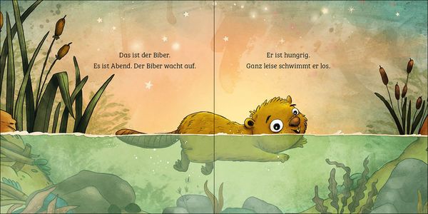 Produktbild: Mein erstes Naturbuch - Der Biber
