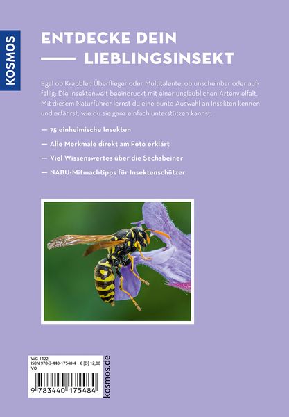 Produktbild: Wer summt denn hier?