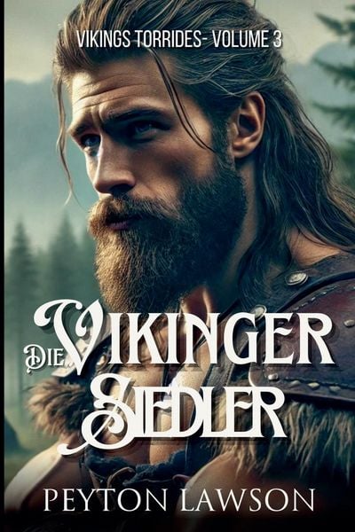 Produktbild: Die Wikinger-Siedler