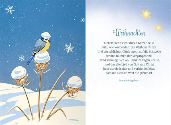 Produktbild: Winternacht und Schneegefl&uuml;ster