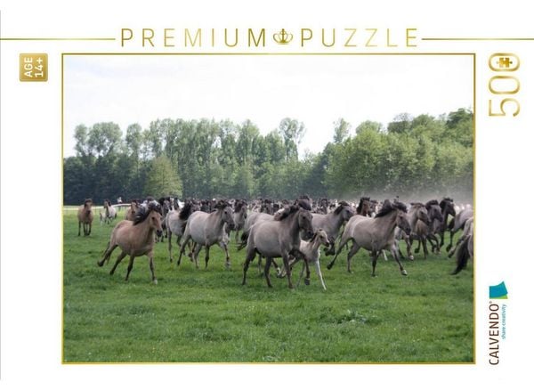 CALVENDO Puzzle Dülmener Wildpferde | 500 Teile Lege-Größe 48 × 36 cm Foto-Puzzle für Erwachsene