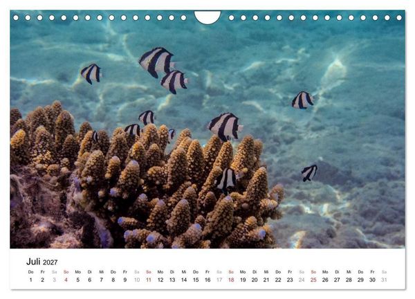 Produktbild: Unterwasserwelt der Malediven II (Wandkalender 2027 DIN A4 quer), CALVENDO Monatskalender