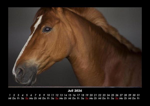 Produktbild: Die Welt der Pferde 2026 Fotokalender DIN A3