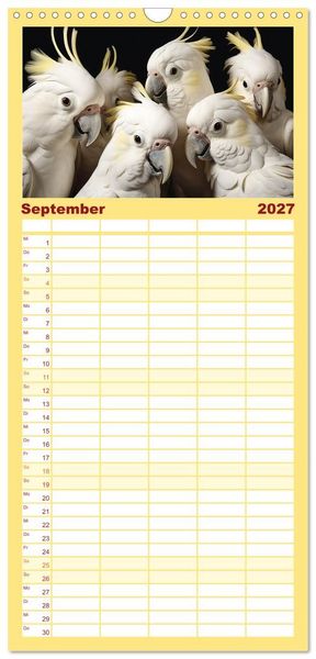 Produktbild: Familienplaner 2027 - Die Magie der Masse mit 5 Spalten (Wandkalender, 21 x 45 cm) CALVENDO