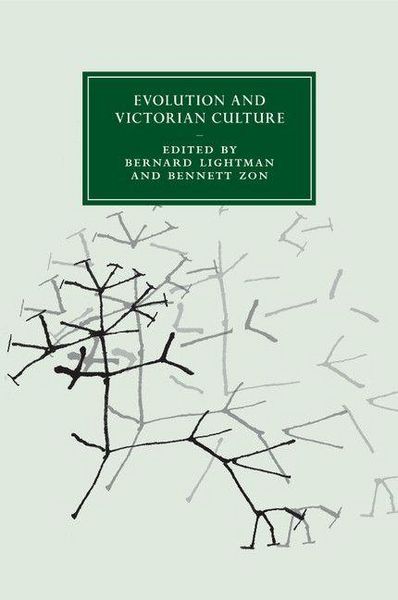 Produktbild: Evolution and Victorian Culture