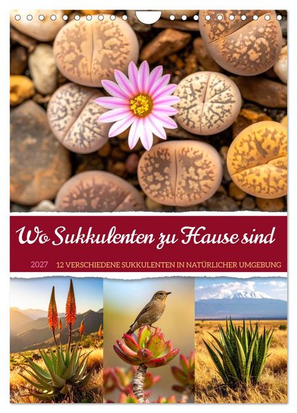 Produktbild: Wo Sukkulenten zu Hause sind (Wandkalender 2027 DIN A4 hoch), CALVENDO Monatskalender