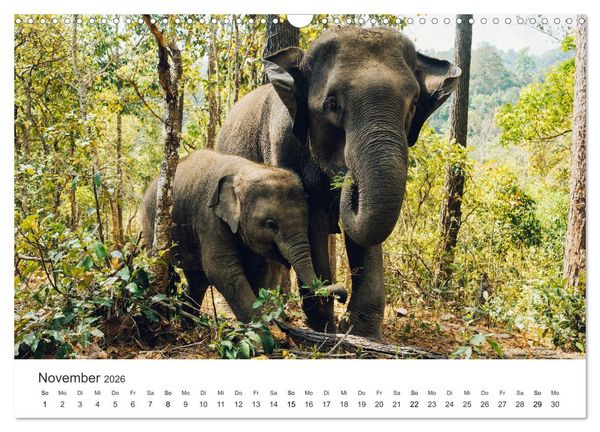 Produktbild: Thailand - Das Land des L&auml;chelns. (Wandkalender 2026 DIN A3 quer), CALVENDO Monatskalender