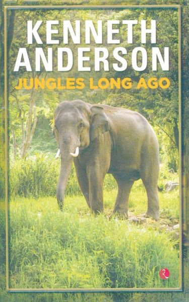 Produktbild: Jungles Long Ago