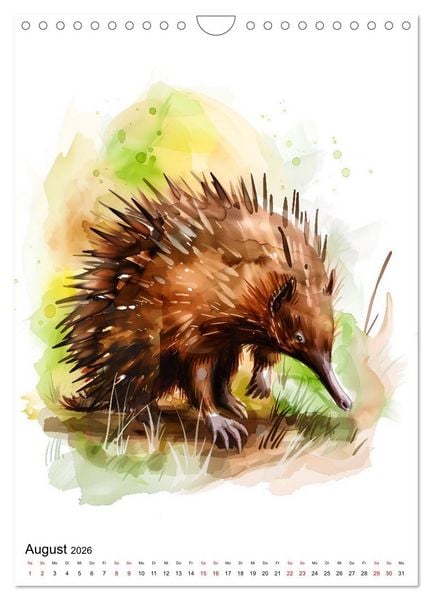 Produktbild: Australiens Tiere - Illustriert in Wasserfarben (Wandkalender 2026 DIN A4 hoch), CALVENDO Monatskalender