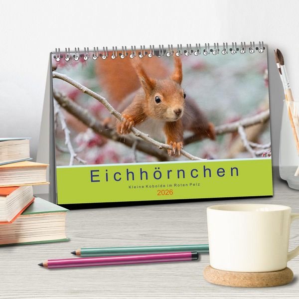 Produktbild: Eichh&ouml;rnchen - Kleine Kobolde im Roten Pelz (Tischkalender 2026 DIN A5 quer), CALVENDO Monatskalender