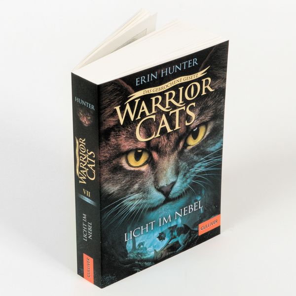 Produktbild: Warrior Cats - Das gebrochene Gesetz. Licht im Nebel
