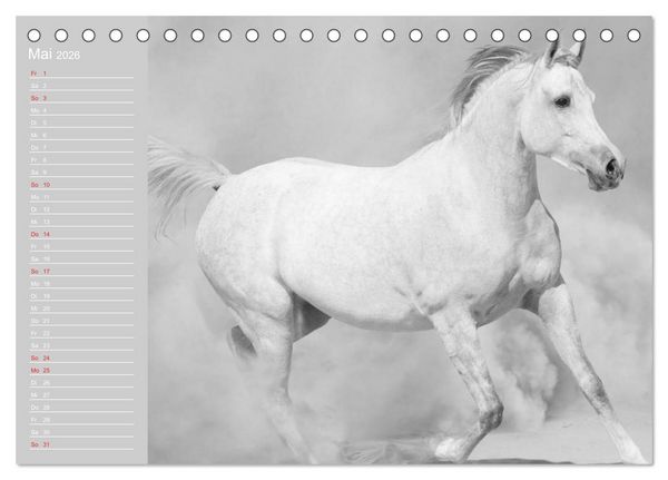 Produktbild: Arabische Pferde (Tischkalender 2026 DIN A5 quer), CALVENDO Monatskalender