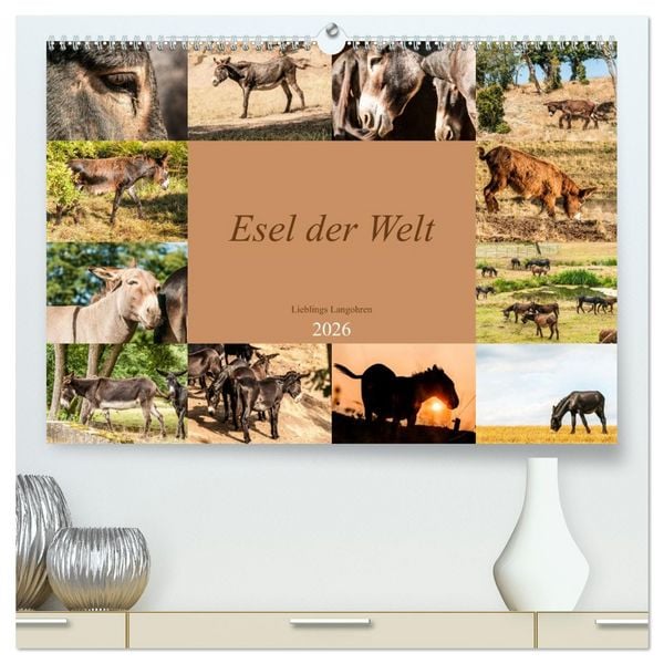 Esel der Welt - Lieblings Langohren (hochwertiger Premium Wandkalender 2026 DIN A2 quer), Kunstdruck in Hochglanz