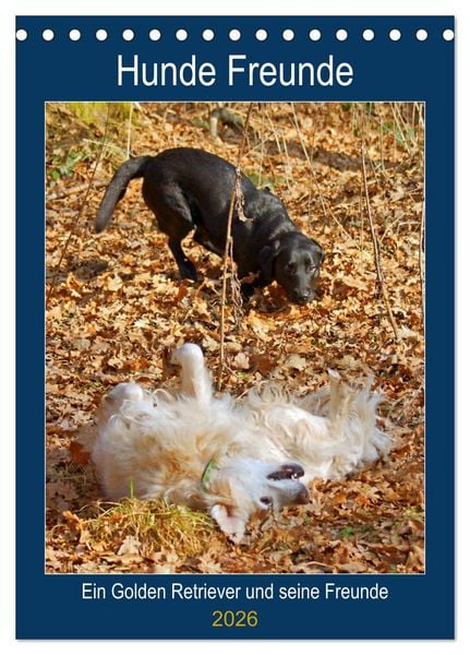 Produktbild: Hunde Freunde (Tischkalender 2026 DIN A5 hoch), CALVENDO Monatskalender