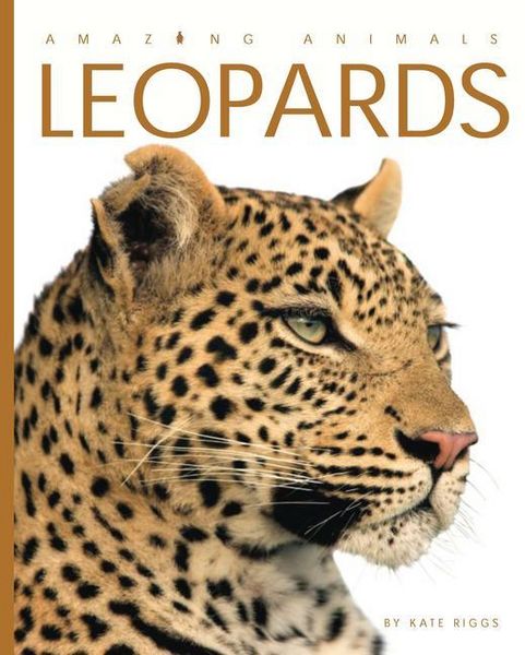 Produktbild: Leopards
