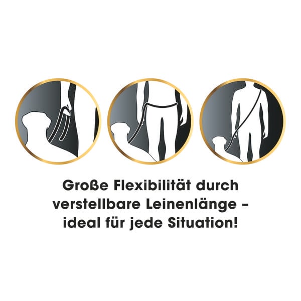Produktbild: GoLeyGo Hundeleine & Halsband S schwarz