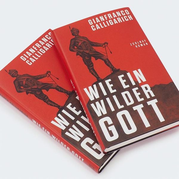 Produktbild: Wie ein wilder Gott