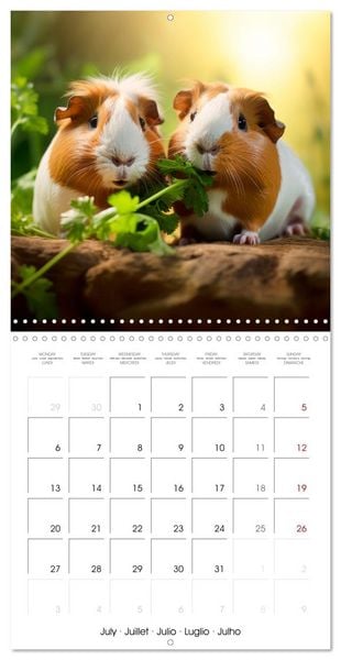 Produktbild: Sweet GUINEA PIGS (Wall Calendar 2026 12 &times; 12 Inch) CALVENDO 12 Month Wall Calendar