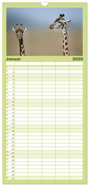Produktbild: Familienplaner 2026 - Abenteuer Afrika - Im Paradies der Tiere mit 5 Spalten (Wandkalender, 21 x 45 cm) CALVENDO