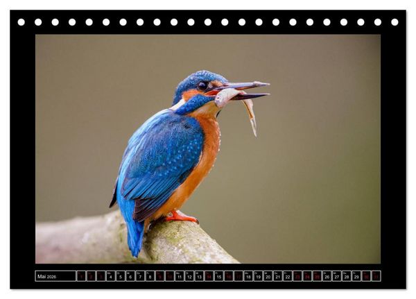 Produktbild: Niederrheinische Vogelwelt (Tischkalender 2026 DIN A5 quer), CALVENDO Monatskalender