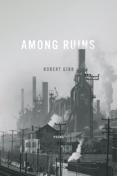 Produktbild: Among Ruins
