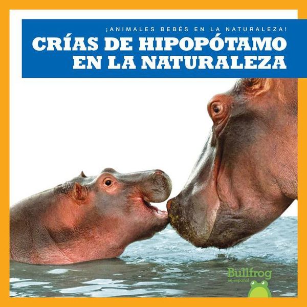 Produktbild: Cr&iacute;as de Hipop&oacute;tamo En La Naturaleza (Hippopotamus Calves in the Wild)