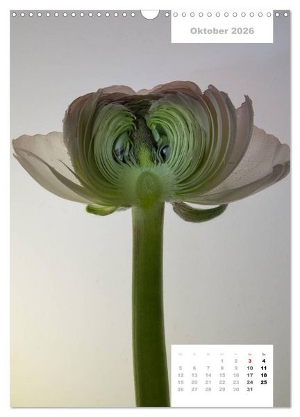 Produktbild: Schnittblumen 2026 (Wandkalender 2026 DIN A3 hoch), CALVENDO Monatskalender