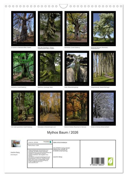 Produktbild: Mythos Baum / 2026 (Wandkalender 2026 DIN A3 hoch), CALVENDO Monatskalender