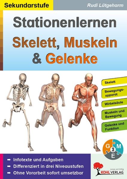Produktbild: Stationenlernen Skelette, Muskeln und Gelenke