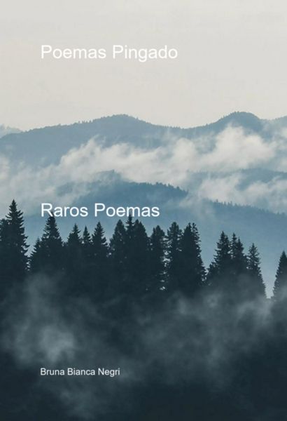 Produktbild: Poemas Pingado