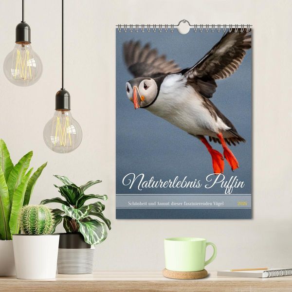 Produktbild: Naturerlebnis Puffin (Wandkalender 2026 DIN A4 hoch), CALVENDO Monatskalender