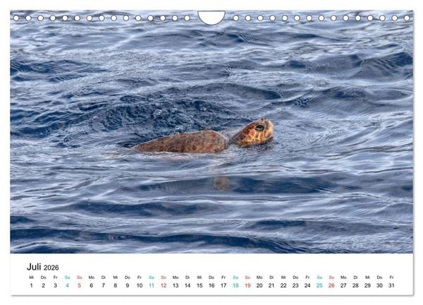 Produktbild: La Palma - La Isla Bonita, die Sch&ouml;nste der Kanaren (Wandkalender 2026 DIN A4 quer), CALVENDO Monatskalender